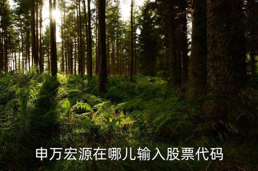 申萬(wàn)宏源為什么用字母查不到股票，申萬(wàn)宏源在哪兒輸入股票代碼