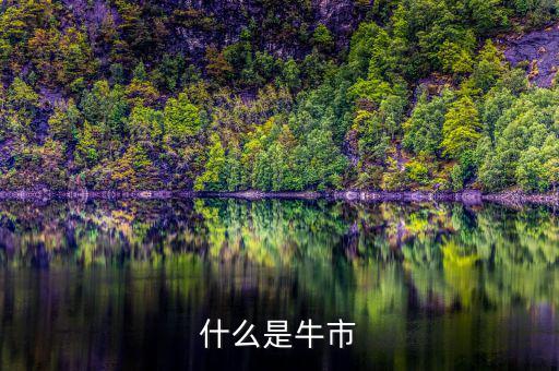 牛市熊市是什么意思，什么是牛市和熊市