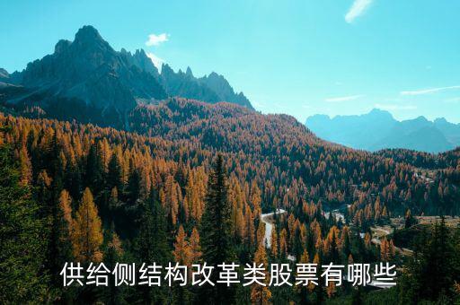 供給側(cè)最利好什么股票，供給側(cè)改革概念股有哪些