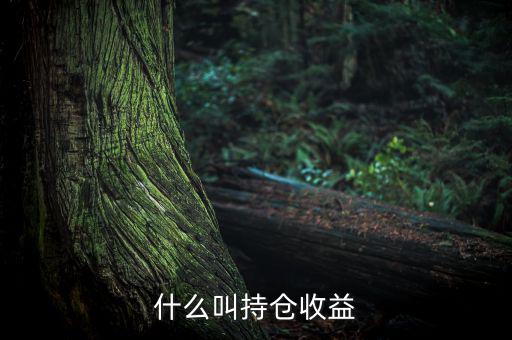 理財里的持倉收益是什么意思，基金 持倉收益7579 是什么意思啊 本人是新手
