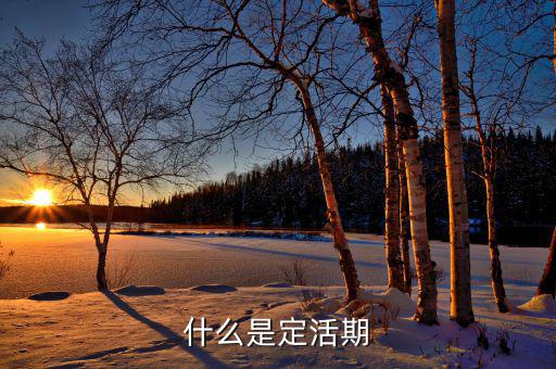 定期活期是什么意思，什么是定活期