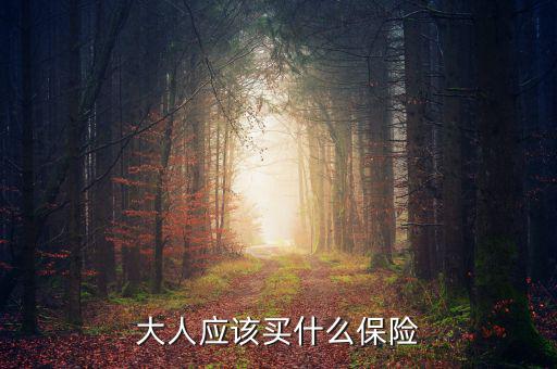 大人買什么保險(xiǎn)最好，大人保險(xiǎn)哪個(gè)比較合適