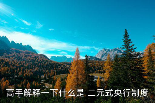 什么是二元體制，什么是二元制