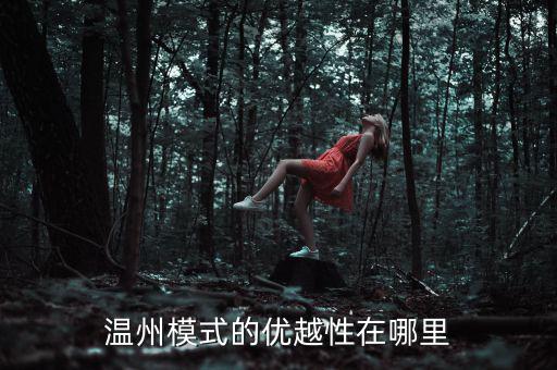 溫州模式為什么具有很強的經(jīng)濟性，溫州模式取得成功的原因6分題