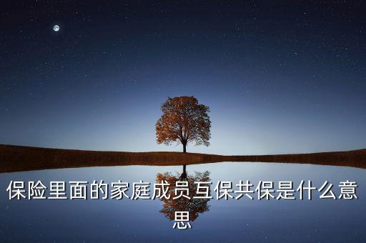 什么是共同被保險(xiǎn)人，保險(xiǎn)里面的家庭成員互保共保是什么意思