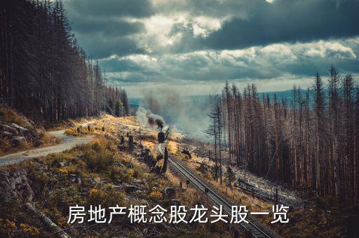 地產(chǎn)業(yè)有什么股票，房地產(chǎn)股票有哪些