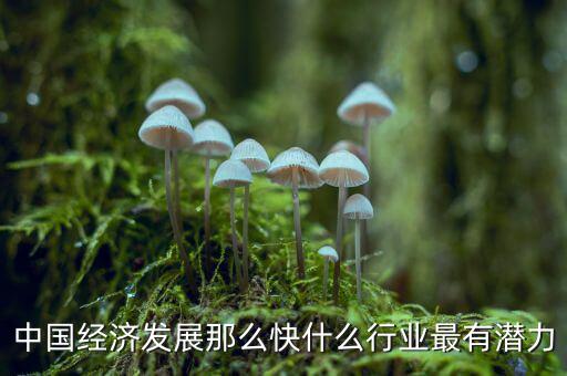 未來中國經(jīng)濟什么行業(yè)可以，中國經(jīng)濟發(fā)展那么快什么行業(yè)最有潛力