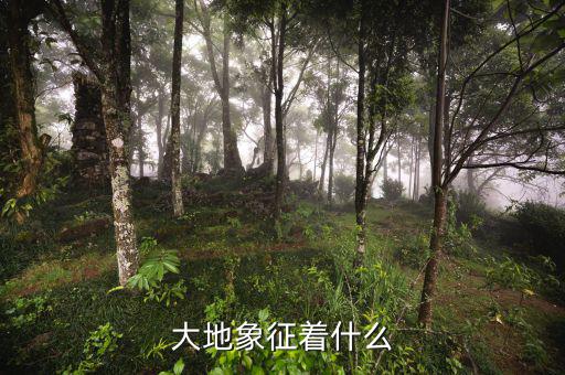 高地價(jià)象征什么，大地象征著什么