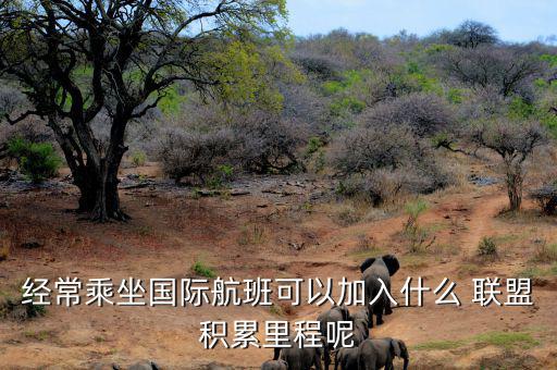 星空聯(lián)盟積分怎么算,南航、東航可通過(guò)明珠卡共享積分等