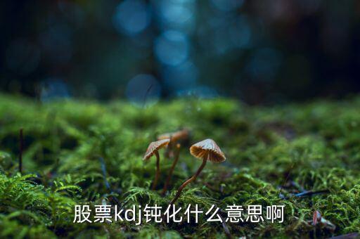 什么是kd高檔鈍化，KDJ鈍化是什么意思