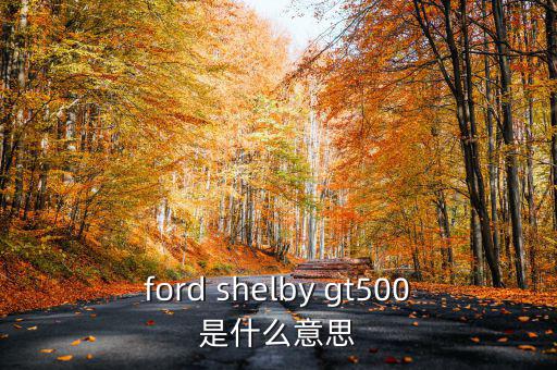東盟油500是什么，ford shelby gt500是什么意思