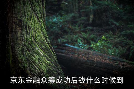 京東金融活動(dòng)什么時(shí)候結(jié)束，金條的活動(dòng)什么時(shí)候結(jié)束啊