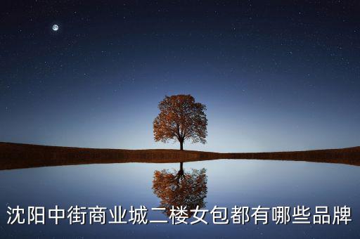 中街商業(yè)城都有什么品牌，沈陽中街商業(yè)城二樓女包都有哪些品牌