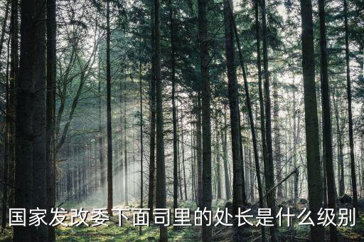 央企處長是什么級別，央企比如移動 電信 聯通 中石油石化 這些企業(yè)縣的老總是什么級別
