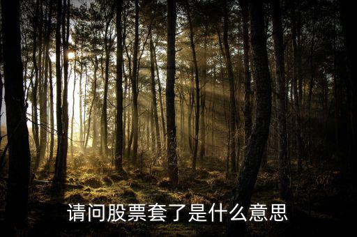 請(qǐng)問(wèn)股票套了是什么意思