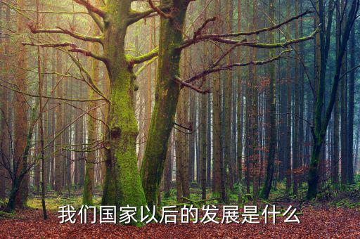 國(guó)家下一步發(fā)展是什么，我國(guó)經(jīng)濟(jì)下一步的發(fā)展方向是什么領(lǐng)域
