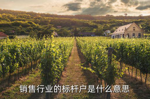 什么叫標(biāo)桿營銷，銷售行業(yè)的標(biāo)桿戶是什么意思