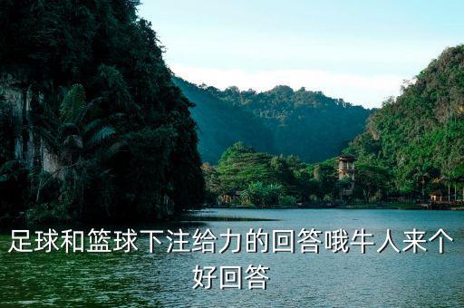 投資足球籃球有什么回報(bào)，足球和籃球下注給力的回答哦牛人來(lái)個(gè)好回答