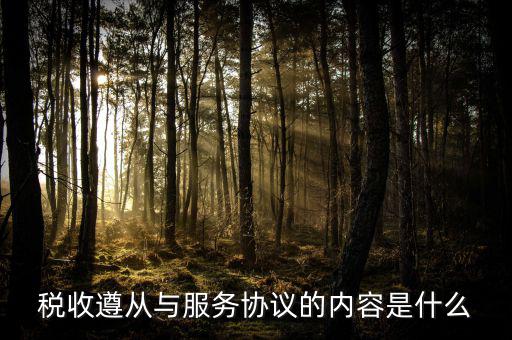 什么是稅收遵從，稅收遵從與服務協(xié)議的內容是什么