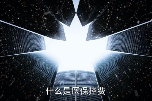 什么是醫(yī)?？刭M(fèi)