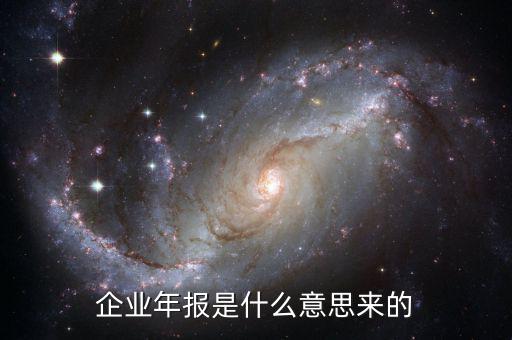 什么是企業(yè)年度報告，企業(yè)年報是什么意思來的