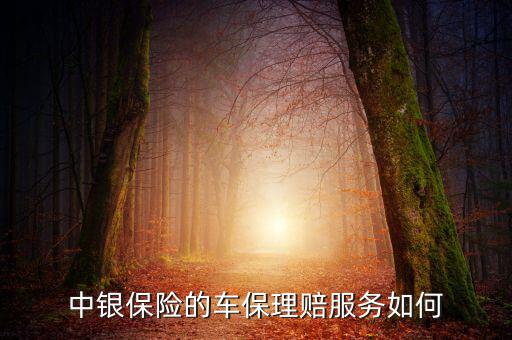 中銀保險車險vip客戶有什么權(quán)利，中銀保險的車保理賠服務(wù)如何
