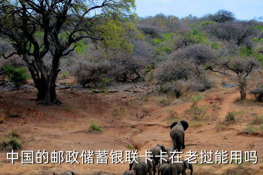 中國的郵政儲(chǔ)蓄銀聯(lián)卡卡在老撾能用嗎