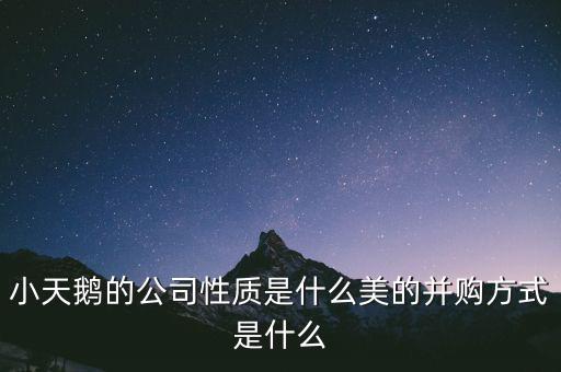 天鵝有什么并購(gòu)案，小天鵝 合并的品牌