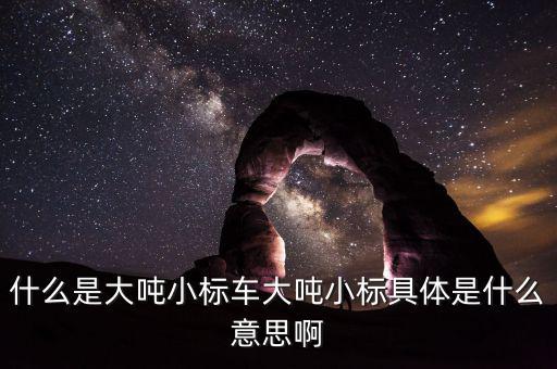 非標轉(zhuǎn)標是什么意思，上角標a是什么意思