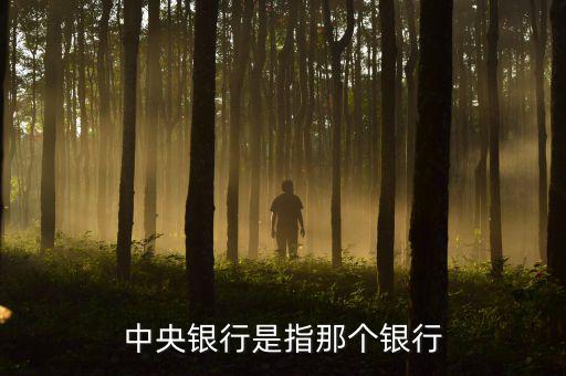 央行是指什么行，中央銀行是指那個銀行