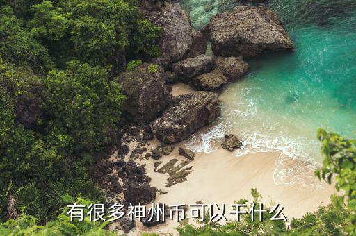 神州幣有什么用，神州幣充值卡是什么