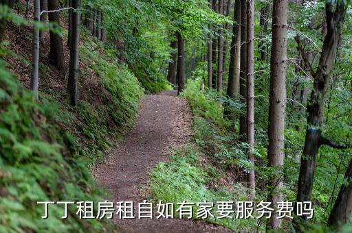 丁丁租房都收取什么費用，丁丁租琴的費用怎么算