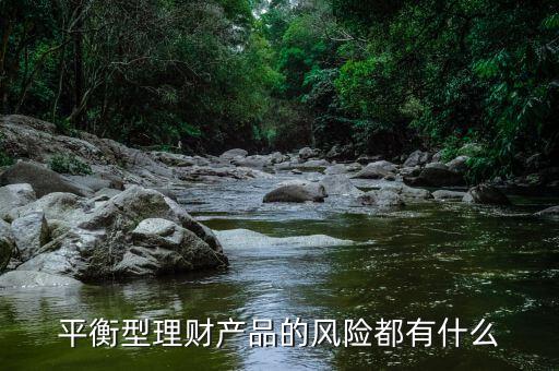 理才客戶風險平衡型是什么意思，平安銀行評估平衡型是什么意思