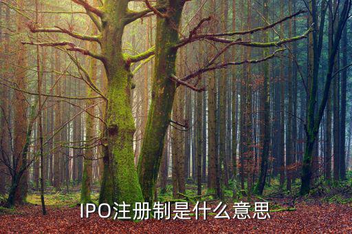 ipo注冊制是什么意思，IPO注冊制是什么意思和審批制有什么區(qū)別