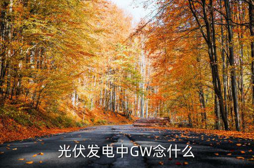 光伏gw是什么意思，wg在光伏發(fā)電里是什么意思