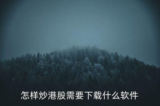 港股資金進(jìn)出用什么軟件，現(xiàn)在內(nèi)地的炒股滬港通用什么軟件
