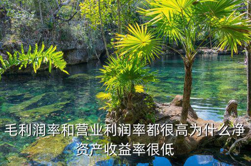資產(chǎn)凈利率較低是為什么，為什么利潤(rùn)率高資產(chǎn)收益率卻低