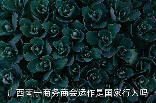 南寧什么時候打擊傳銷，廣西南寧有傳銷嗎