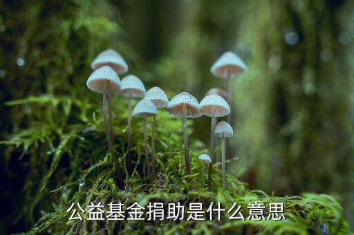公益金是什么意思，公益基金捐助是什么意思