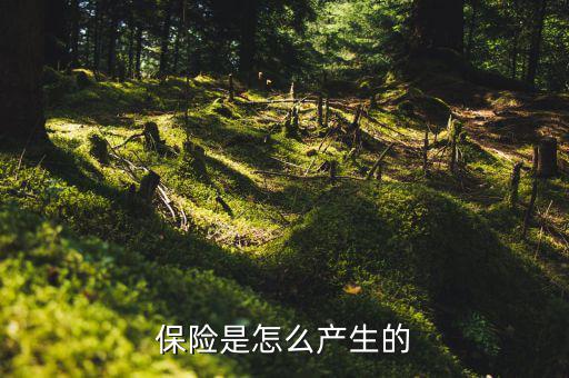 保險的原理是什么，保險是怎么產生的