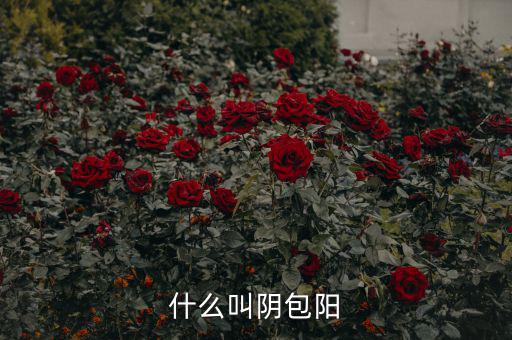 什么叫陽包陰，K線里收陽包陰或陰包陽指的是實體還是影線也算上