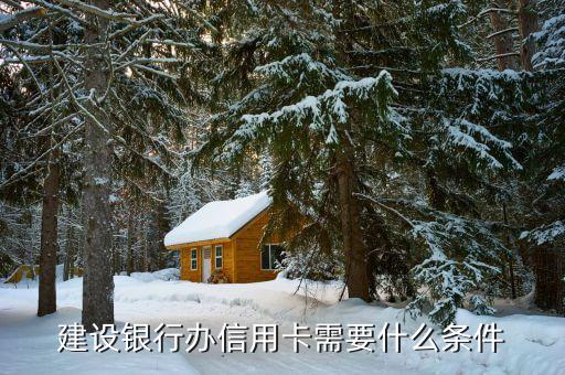 辦理建設(shè)銀行信用卡需要什么條件，建設(shè)銀行辦信用卡需要什么條件