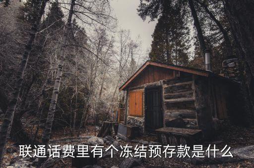 凍結(jié)預(yù)存款是什么意思，聯(lián)通話費(fèi)里有個(gè)凍結(jié)預(yù)存款是什么