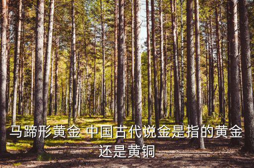 中國古代的黃金是什么，古代中國都使用了哪些金屬