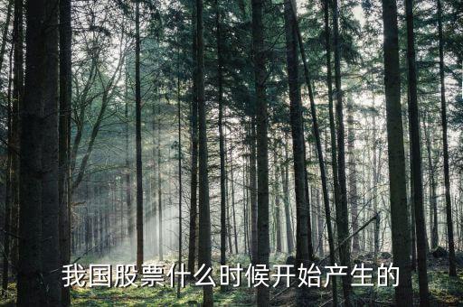 股票什么時候出來的，股票是什么時候出現(xiàn)的從世界范圍看