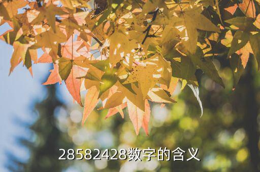 數(shù)字2858代表什么，數(shù)字2858的中文代表什么意思