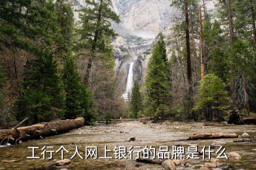 工行電子銀行核心品牌是什么，工行個人網(wǎng)上銀行的品牌是什么