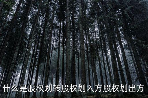 劃轉(zhuǎn)是什么意思，什么是股權(quán)劃轉(zhuǎn)股權(quán)劃入方股權(quán)劃出方
