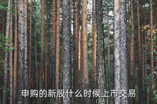 一般新股價(jià)什么時(shí)候出來，申購的新股什么時(shí)候上市交易