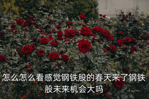 包鋼集團是什么性質(zhì)，中國包頭大企業(yè)都有哪些什么性質(zhì)